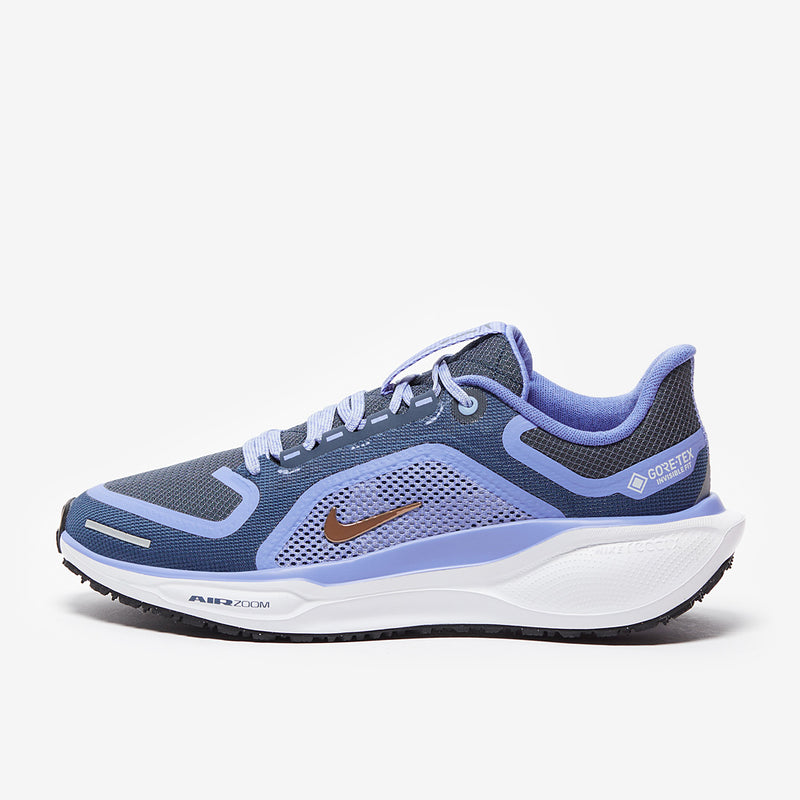Nike Womens Pegasus 41 GORE-TEX